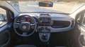 Fiat Panda 1.0 firefly hybrid City Life s&s 70cv - thumbnail 5