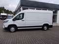Maxus Deliver 9 Kasten Weiß - thumbnail 5