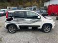 Fiat Panda Panda 4x4 1,3 Multijet II 75 Pop Weiß - thumbnail 10