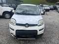 Fiat Panda Panda 4x4 1,3 Multijet II 75 Pop Weiß - thumbnail 2