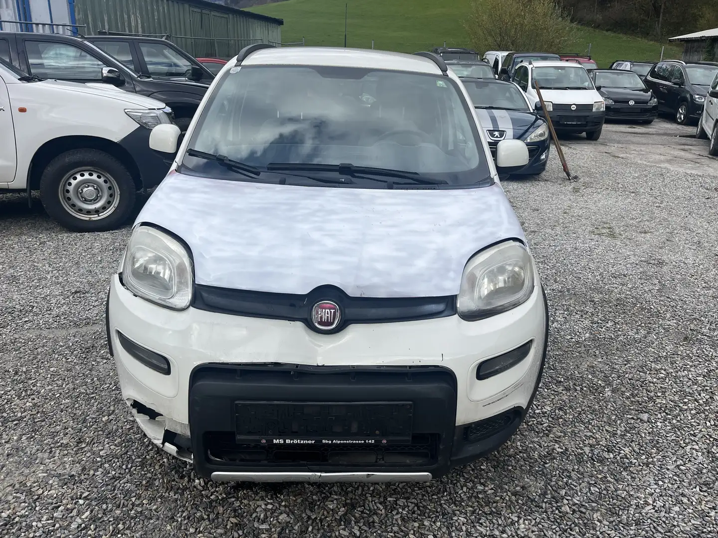 Fiat Panda Panda 4x4 1,3 Multijet II 75 Pop Weiß - 2