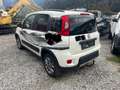 Fiat Panda Panda 4x4 1,3 Multijet II 75 Pop Weiß - thumbnail 7