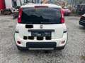 Fiat Panda Panda 4x4 1,3 Multijet II 75 Pop Weiß - thumbnail 8