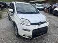 Fiat Panda Panda 4x4 1,3 Multijet II 75 Pop Weiß - thumbnail 1