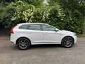 Volvo XC60 XC60 D4 Geartronic Ocean Race Weiß - thumbnail 2