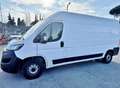 Fiat Ducato 33 2.2 Mjt 140CV PLM-TM Furgone **PREZZO+I Bianco - thumbnail 2