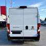 Fiat Ducato 33 2.2 Mjt 140CV PLM-TM Furgone **PREZZO+I Bianco - thumbnail 4