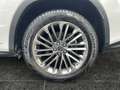 Lexus RX 450h Luxury *GSD*MARK-LEVINSON*360*NAVI*HUD* Weiß - thumbnail 15