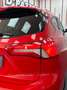 Ford Focus Sportbreak 1.5Ecoblue Titanium Rojo - thumbnail 11