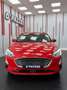 Ford Focus Sportbreak 1.5Ecoblue Titanium Rojo - thumbnail 5