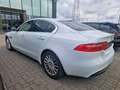 Jaguar XE LEDER NAVI BI-XENON Alb - thumbnail 6