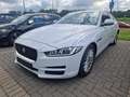 Jaguar XE LEDER NAVI BI-XENON Alb - thumbnail 1