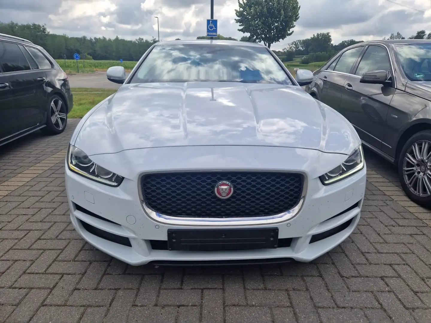 Jaguar XE LEDER NAVI BI-XENON Alb - 2