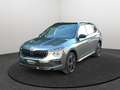 Skoda Kamiq 1.0TSI DSG Monte Carlo Matrix Navi SHZ Rear View A Grau - thumbnail 1