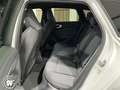 Audi A5 A5 Avant TFSI S line S tronic Navi ACC Matr 360° Blanco - thumbnail 30