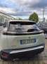 Peugeot 2008 1.2 puretech Allure s&s 130cv Blanc - thumbnail 3