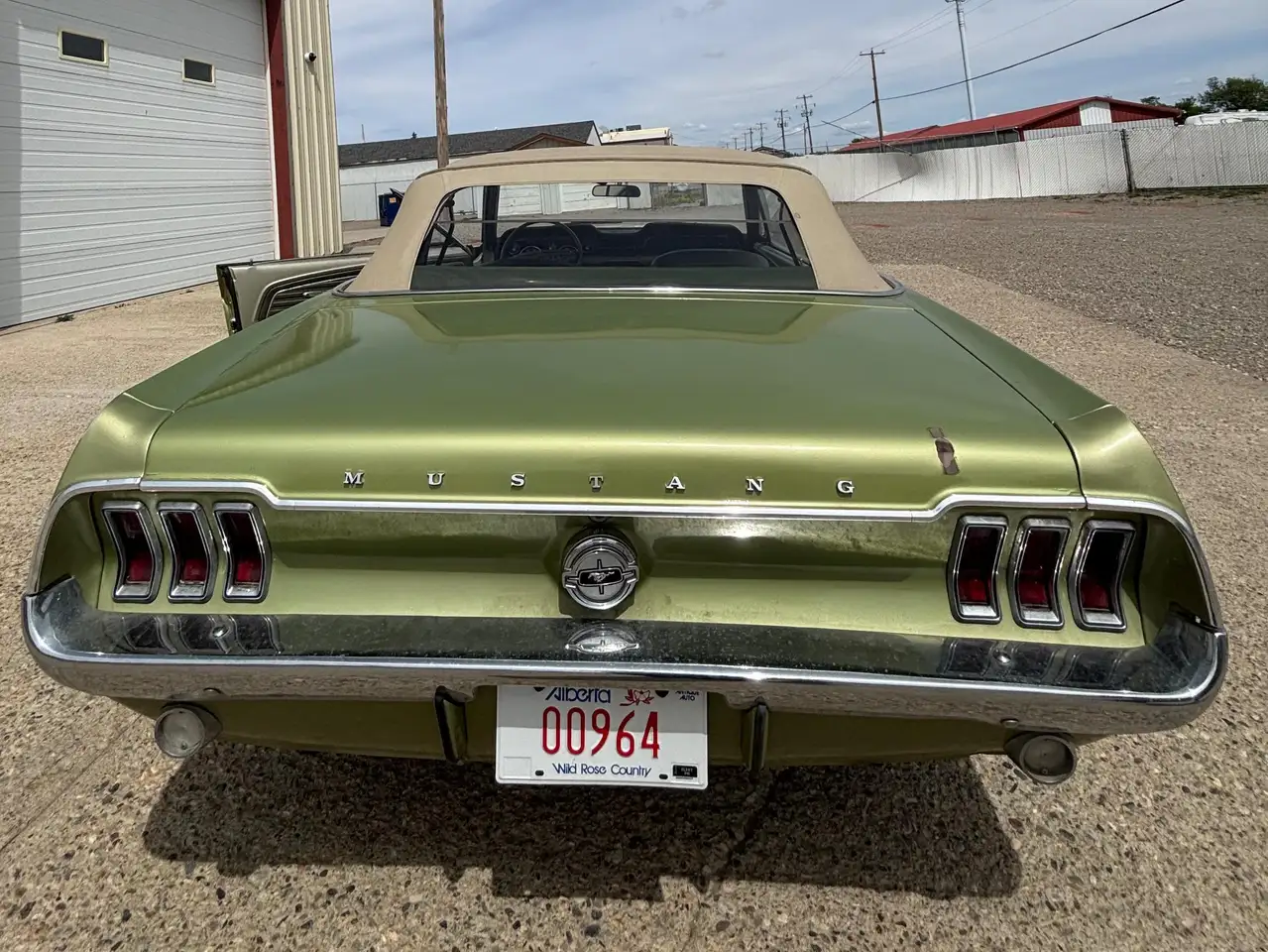 Ford Mustang photo Ford Mustang