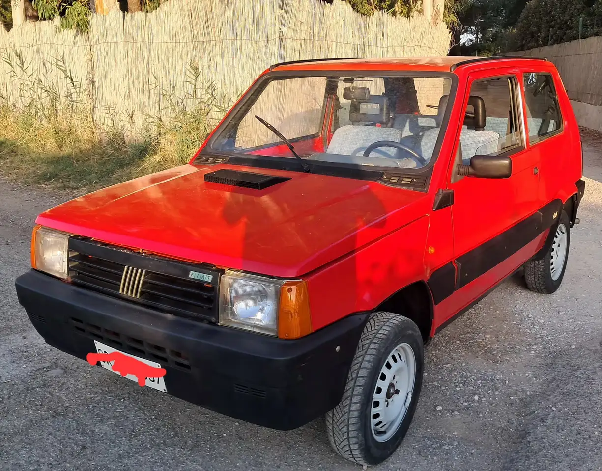 Fiat Panda 1.0 4x4 my86, foto 9