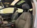 Honda Civic 1.5 Sport Plus**PANO**ACC**RFK**SHZ**UVM** Silber - thumbnail 15