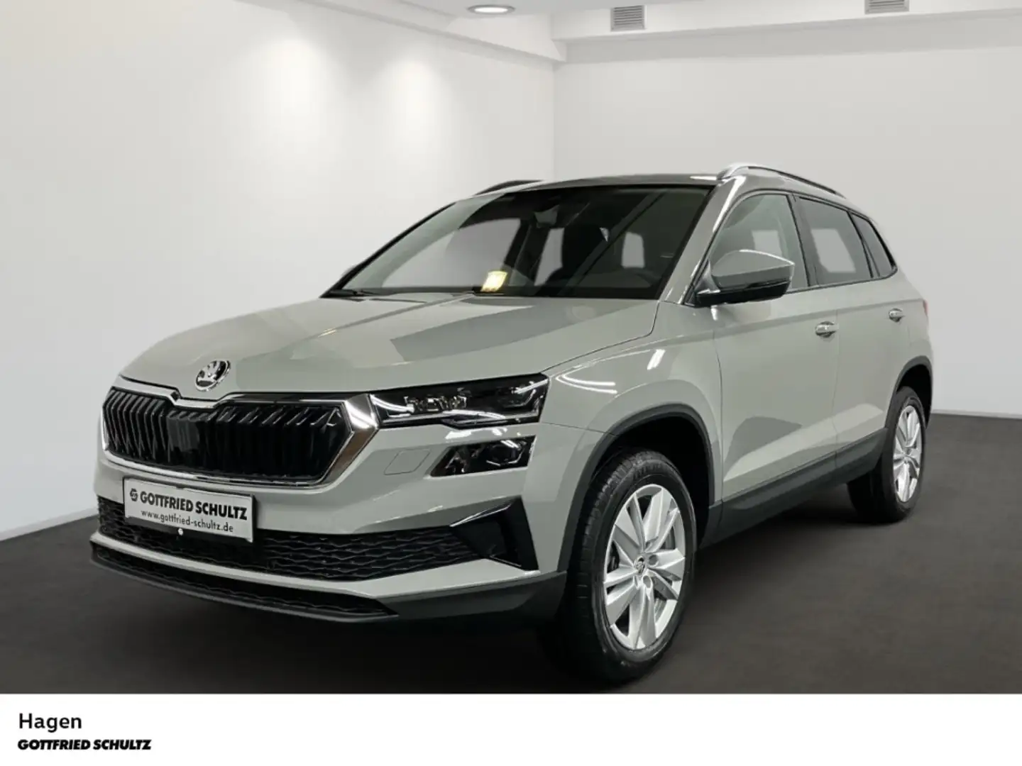 Skoda Karoq Selection 1.5 TSI DSG Grau - 2