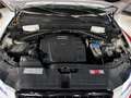 Audi Q5 2.0 tdi quattro 170cv s-tronic dpf Wit - thumbnail 18