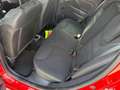 Renault Clio Clio Sporter 1.5 dci Live 75cv Rosso - thumbnail 9