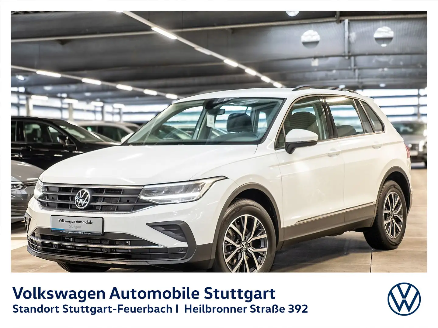Volkswagen Tiguan 1.5 TSI Life Navi Klima SHZ AHK Weiß - 2