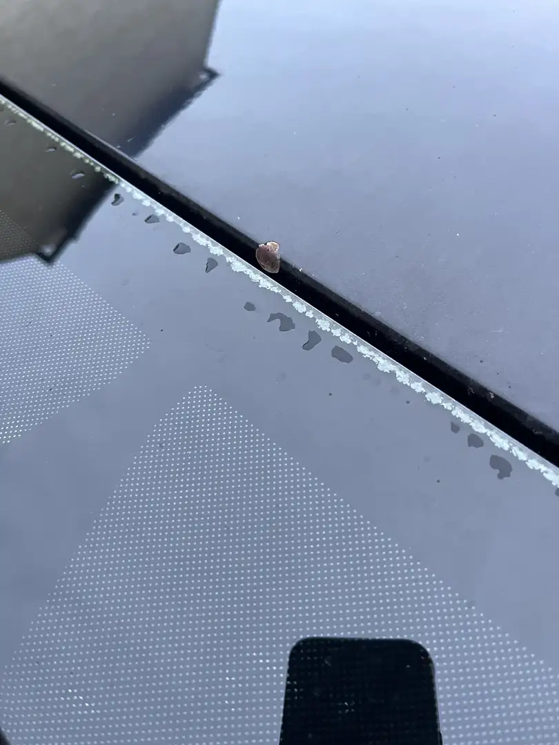 Ford Focus Traveller Easy 1,6 TDCi Schwarz - 2