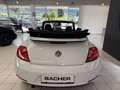 Volkswagen Beetle Cabriolet Design BMT Weiß - thumbnail 6