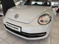 Volkswagen Beetle Cabriolet Design BMT Weiß - thumbnail 26