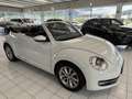 Volkswagen Beetle Cabriolet Design BMT Weiß - thumbnail 9