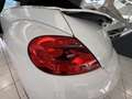 Volkswagen Beetle Cabriolet Design BMT Weiß - thumbnail 23