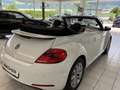 Volkswagen Beetle Cabriolet Design BMT Weiß - thumbnail 7