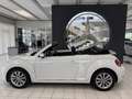 Volkswagen Beetle Cabriolet Design BMT Weiß - thumbnail 4
