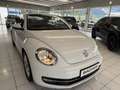 Volkswagen Beetle Cabriolet Design BMT Weiß - thumbnail 10