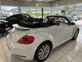 Volkswagen Beetle Cabriolet Design BMT Weiß - thumbnail 8