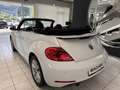 Volkswagen Beetle Cabriolet Design BMT Weiß - thumbnail 5