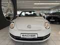 Volkswagen Beetle Cabriolet Design BMT Weiß - thumbnail 11