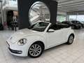 Volkswagen Beetle Cabriolet Design BMT Weiß - thumbnail 3