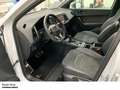 CUPRA Ateca El.-Heckklappe Beats 2.0 TSI DSG 4Drive elektr. He Blanc - thumbnail 17