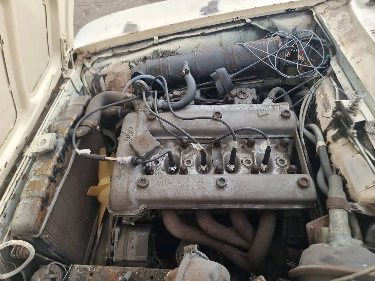 Alfa Romeo 1750 Gtv 1750, foto 6