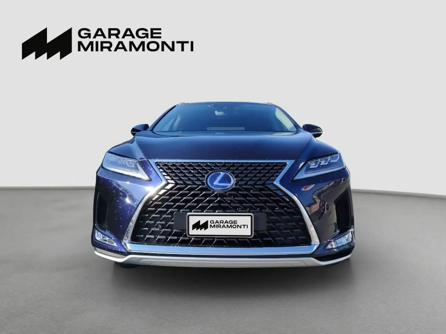Lexus RX 450h 450h 3.5 Executive cvt Blau - 2