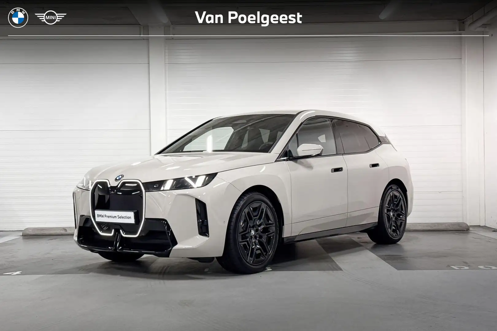 BMW iX xDrive45 101 kWh Grijs - 1