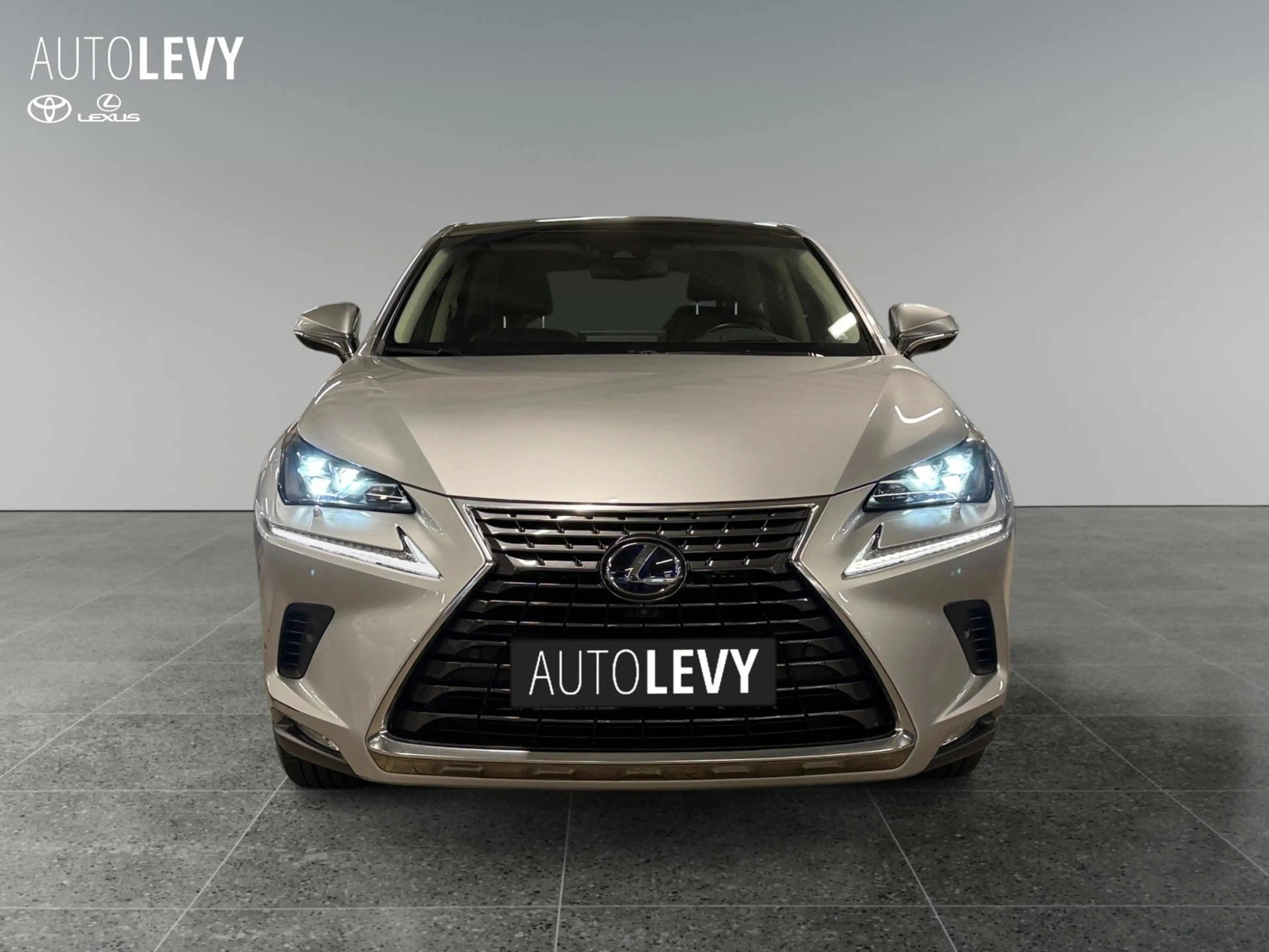 Lexus NX 300h NX 300 h Luxury Line +Kamera+AHK+Pano+ — photo 9