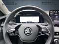 Skoda Superb Combi 2,0 TDI DSG 150 PS Selection Black - thumbnail 11