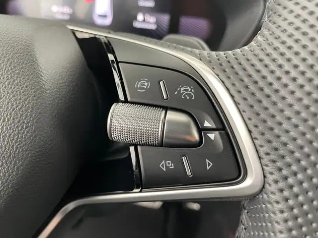 Skoda Fabia view 15
