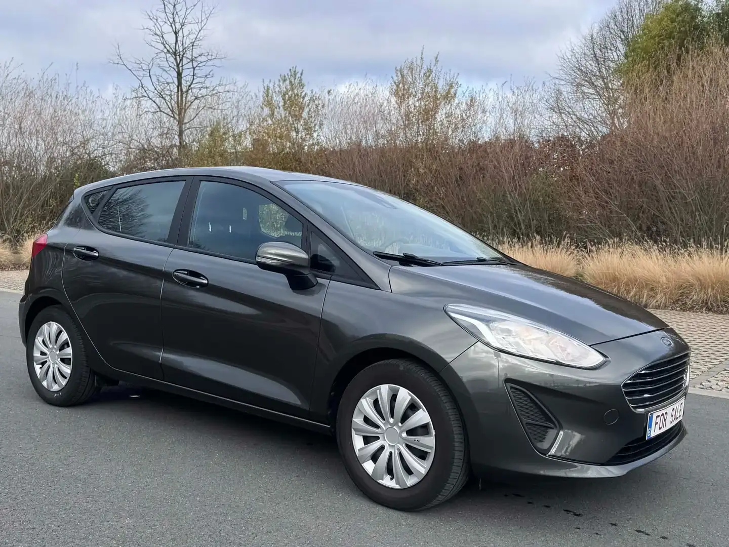Ford Fiesta FIESTA 1.0 ECOBOOST I TOPCONDITIE Argent - 1
