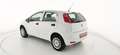 Fiat Punto 1.4 8V 5 porte Natural Power Street Bianco - thumbnail 6