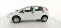 Fiat Punto 1.4 8V 5 porte Natural Power Street Bianco - thumbnail 5