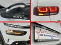 Citroen C4 Cactus C4 Cactus*1,2 - 96 kW*12V e-THP / PureTech*Klima* Weiß - thumbnail 14